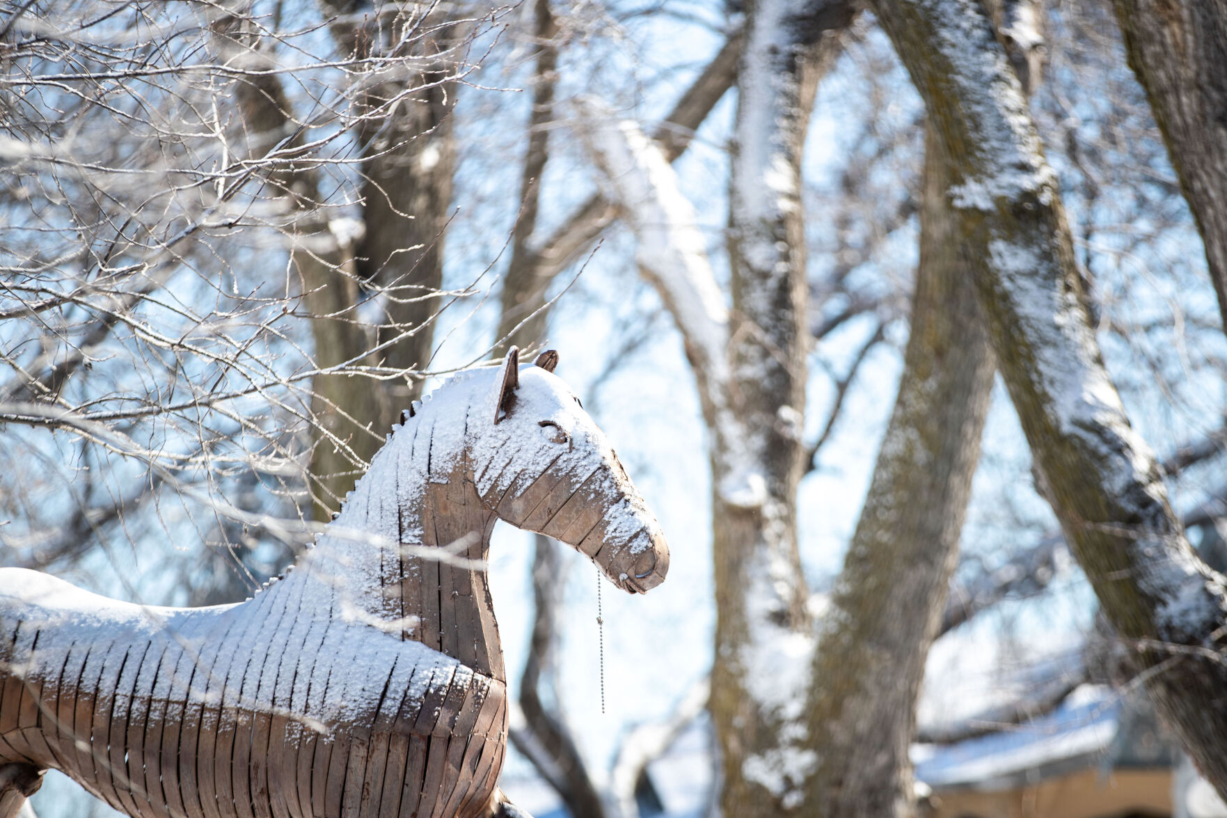 011622-owh-new-snow-LS011.JPG